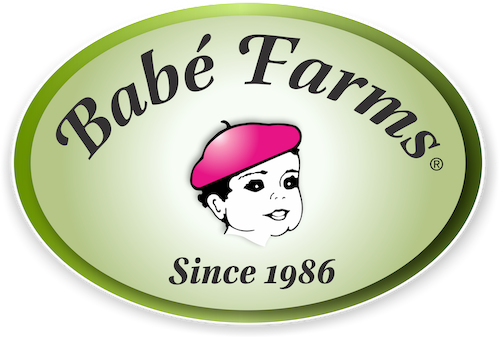 {{brizy_dc_image_alt imageSrc=