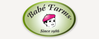 {{brizy_dc_image_alt imageSrc=