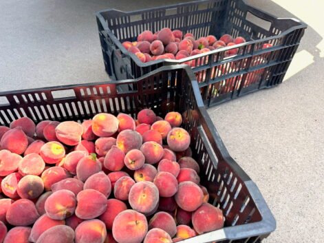 {{brizy_dc_image_alt imageSrc=